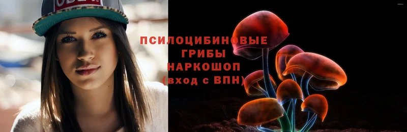 Псилоцибиновые грибы Psilocybe  Горняк 